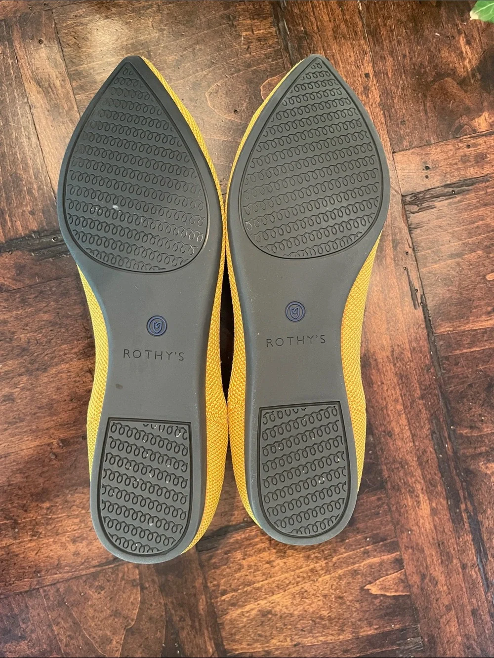 Rothys sleek pointed